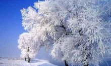 美丽的雪景_650字