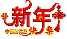 关于元旦的作文：美丽的元旦_900字