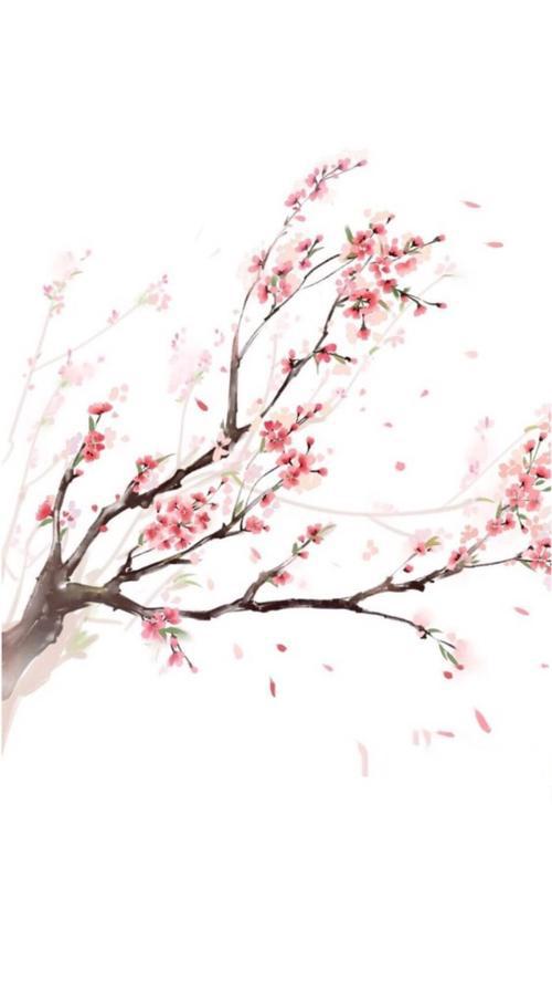林花谢了春红，太匆匆-抒情随笔200字