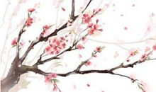 林花谢了春红，太匆匆-抒情随笔200字