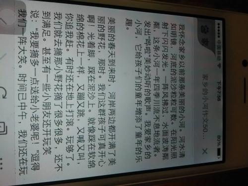 篮球的梦-想象的作文450字