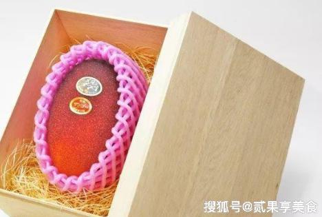揭秘天价芒果“太阳蛋”，日本是怎么种的，看后感叹万分呀 12