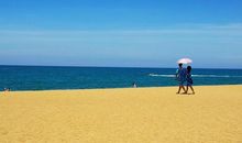 大海拾趣-青岛金沙滩游记作文500字