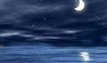 独赏月色-迷人的月色作文400字