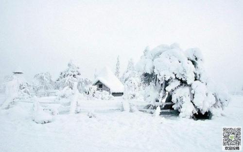 美丽的雪_400字