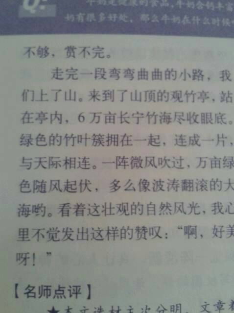 提醒-优秀写事作文500字