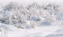 冬天的雪景_350字