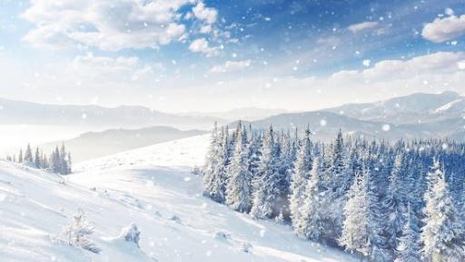 冬天的雪_300字