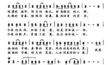 《逆风飞翔》读后感