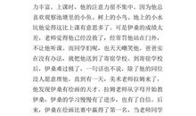 地球上的星星观后感800字左右