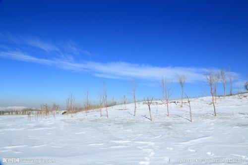冬日的雪景_350字