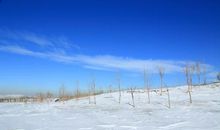 冬日的雪景_350字