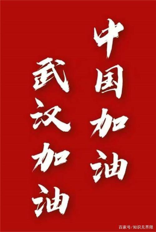 致最闪亮的普通人 武汉加油！中国加油！作文800字