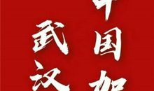 致最闪亮的普通人 武汉加油！中国加油！作文800字