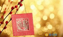 关于除夕的作文：难忘的除夕_800字