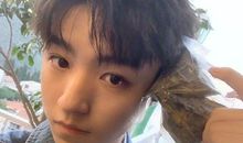 高考作文写不好？肯定是电影看得少！