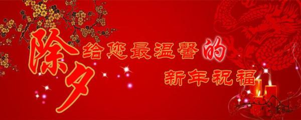 关于除夕的作文：辞旧迎新除夕夜_900字