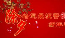 关于除夕的作文：辞旧迎新除夕夜_900字