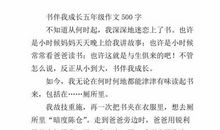 汗水伴着泪水飞 滑旱冰作文700字