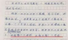 我们家的“小霸王”-描写妹妹的作文400字