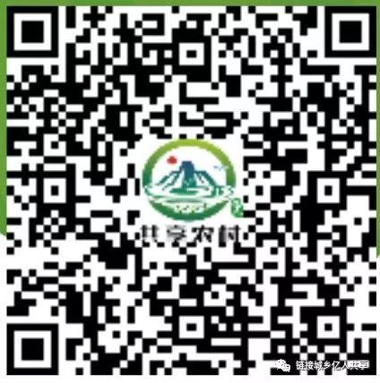 一线教师感悟|所有的作文猜题押题其实没有任何意义 13
