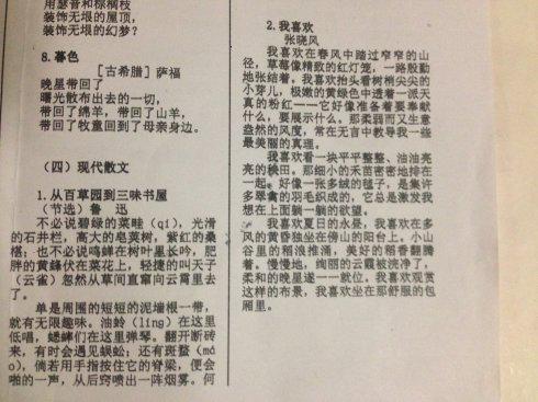 我喜欢 优秀随笔900字