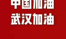 中国加油！武汉加油！ 战疫情作文900字