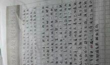 我学会了打篮球-小学写事作文500字