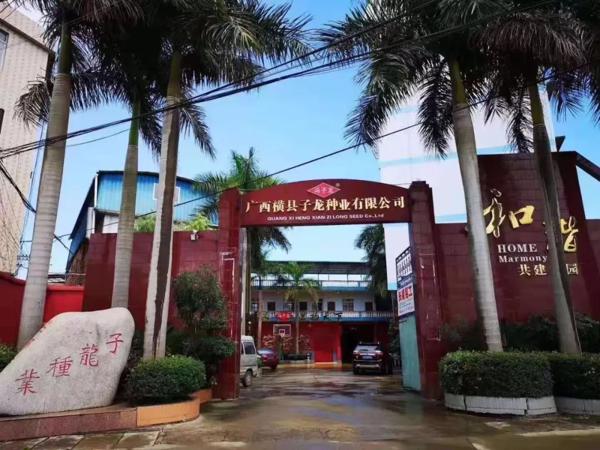 你们认识的子龙种业是这样的吗？ 一篇来自初中生的观后感