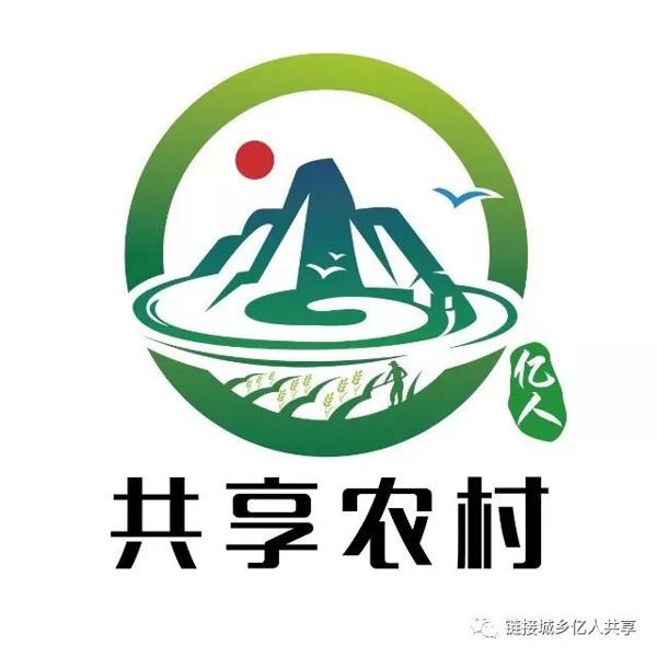 一线教师感悟|所有的作文猜题押题其实没有任何意义 12