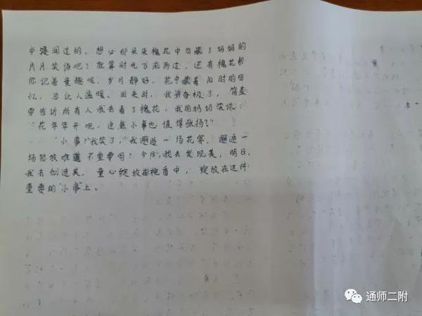 【二附集团·通师二附】五年级考场优秀作文选登 7
