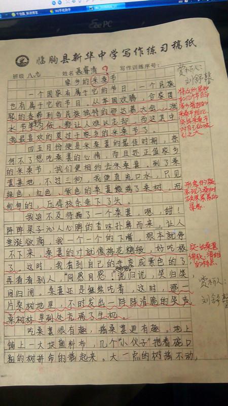 关于过年的作文：过年随笔_450字