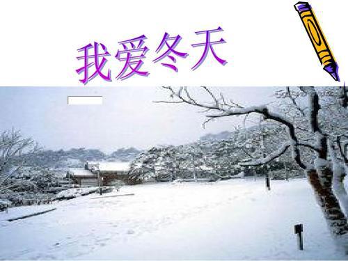 我爱冬天_650字