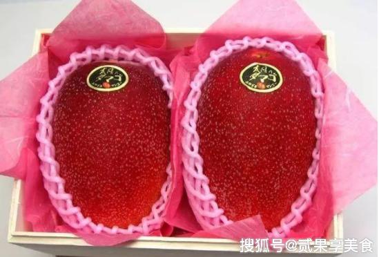 揭秘天价芒果“太阳蛋”，日本是怎么种的，看后感叹万分呀 2