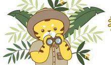 熊孩子0分作文走红网络，脑洞大开却惹恼老师，网友：气得不轻