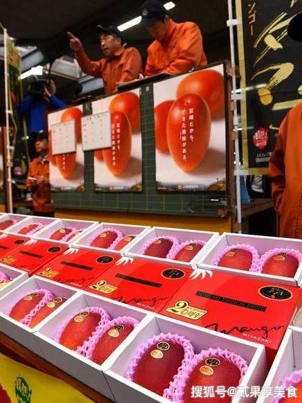 揭秘天价芒果“太阳蛋”，日本是怎么种的，看后感叹万分呀 1