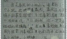 我是小雨滴-小雨滴的自述作文600字