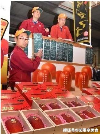 揭秘天价芒果“太阳蛋”，日本是怎么种的，看后感叹万分呀