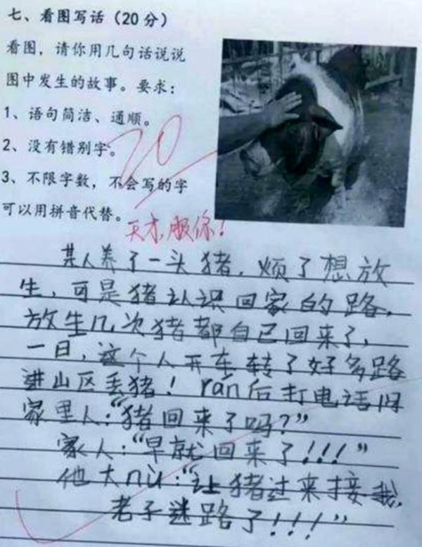 熊孩子0分作文走红网络,脑洞大开却惹恼老师,网友:气得不轻 1