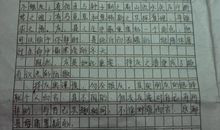 写过年作文1000字8篇