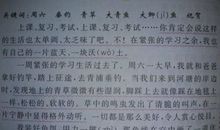 我的母亲-写人的作文900字