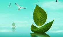 初一议论文：梦想_450字