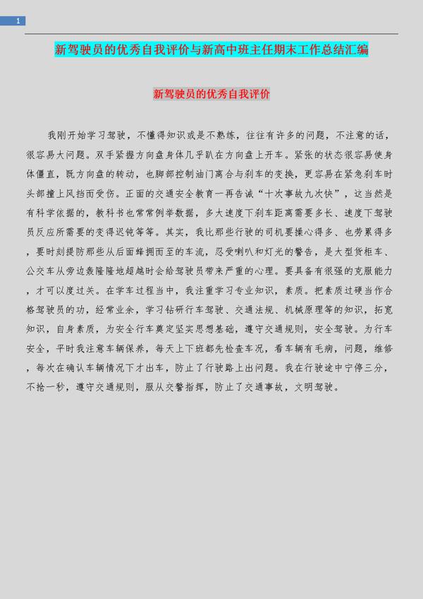 班主任自我评价总结报告5篇