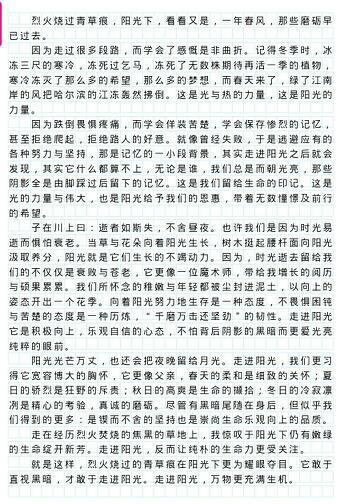 沉醉在五月的小雨中作文