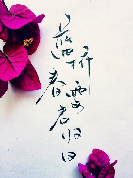 春雪_550字