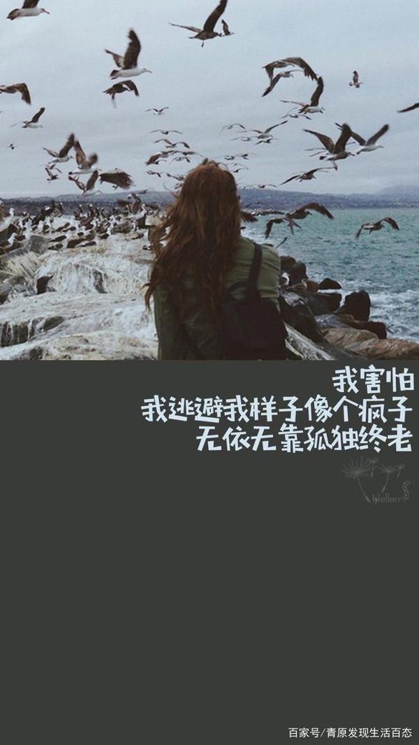 《天才在左,疯子在右》读后感