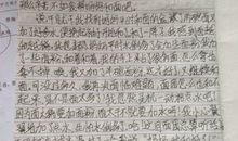 关于过年的作文：过年真快乐_1000字