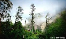 五年级作文：多情的大自然