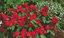 有关付出与回报的励志小故事，读后使人有所启发