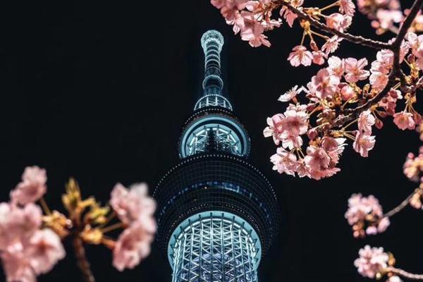 跟杜甫苏轼学写作,四首春天来了古诗词绝唱,背下来作文用得上! 1